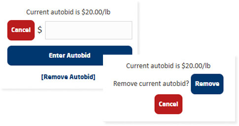 How can I edit or cancel an existing auto bid?