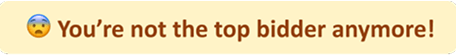Someone has outbid you, and you are no longer in the lead.